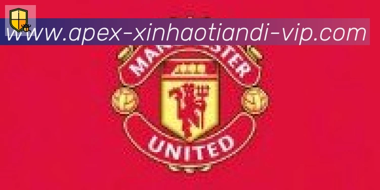 新濠天地平台官方平台合作伙伴